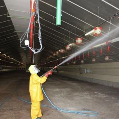 coop-eveil-lavage