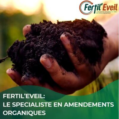 Amendemant